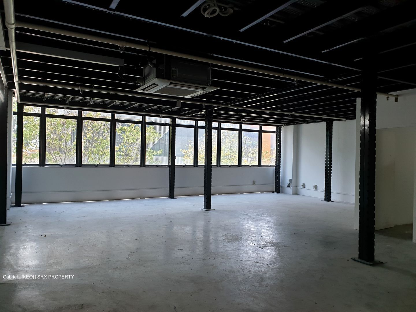 Primax (D19), Factory #555833411